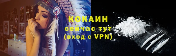 прущие крисы Инсар