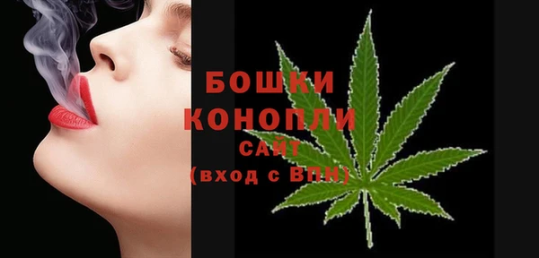 дмт Инта