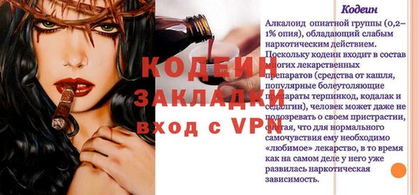 дмт Инта