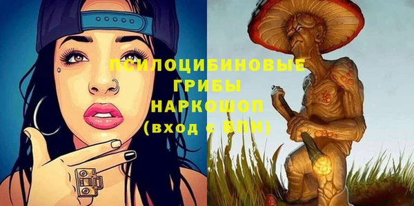 дмт Инта