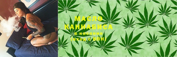 дмт Инта