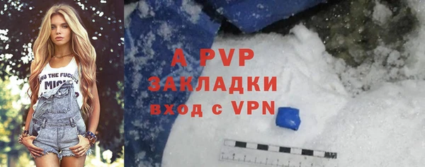 дмт Инта