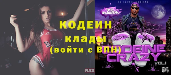дмт Инта