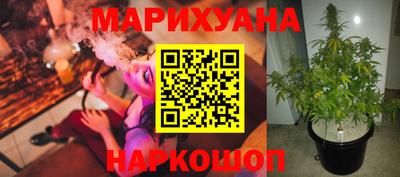 стаф Новозыбков