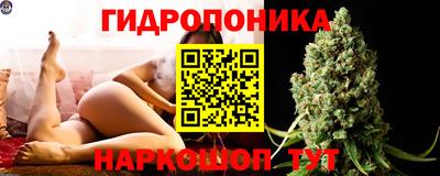 МДПВ Новокубанск