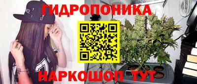 МДПВ Новокубанск