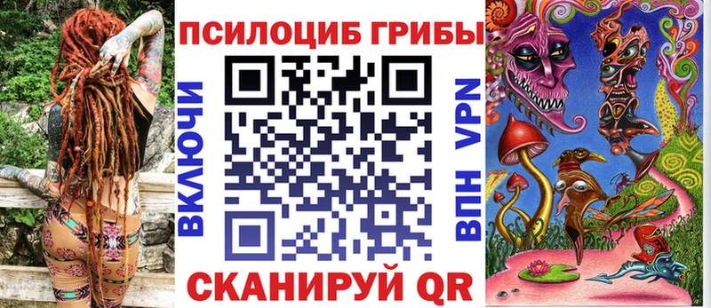 Псилоцибиновые грибы Psilocybine cubensis  наркошоп  Саранск 