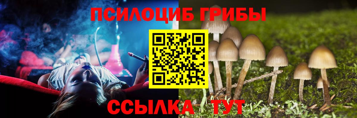 Псилоцибиновые грибы GOLDEN TEACHER  Вход с VPN  Саранск  Псилоцибиновые грибы Psilocybe 